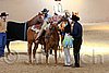 QH062_2429n.jpg