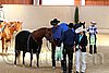QH062_2430n.jpg