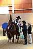 QH062_2431n.jpg