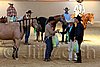 QH062_2433n.jpg