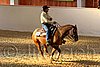 QH062_2440n.jpg