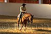 QH062_2442n.jpg