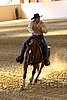 QH062_2450n.jpg