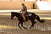 QH062_2456n.jpg