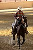 QH062_2458n.jpg