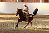 QH062_2459n.jpg