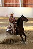 QH062_2462n.jpg