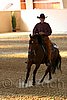QH062_2473n.jpg