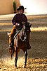 QH062_2474n.jpg