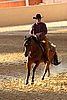 QH062_2475n.jpg