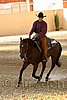 QH062_2480n.jpg