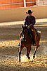 QH062_2481n.jpg