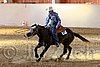 QH062_2497n.jpg