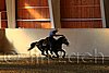 QH062_2502n.jpg