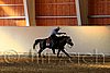 QH062_2503n.jpg