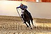 QH062_2505n.jpg