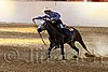 QH062_2506n.jpg