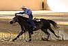 QH062_2507n.jpg