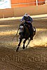 QH062_2510n.jpg