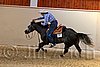 QH062_2513n.jpg