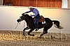 QH062_2517n.jpg
