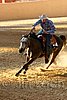 QH062_2519n.jpg