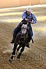 QH062_2521n.jpg