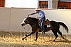 QH062_2523n.jpg