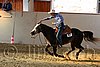 QH062_2524n.jpg