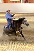 QH062_2528n.jpg