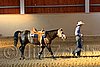 QH062_2532n.jpg
