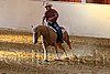 QH062_2547n.jpg