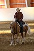 QH062_2549n.jpg