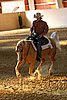 QH062_2562n.jpg