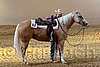QH062_2569n.jpg