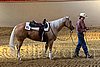QH062_2571n.jpg