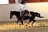 QH062_2592n.jpg