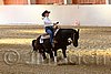 QH062_2594n.jpg
