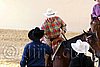 QH062_2604n.jpg