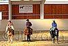 QH062_2625n.jpg