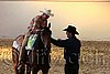 QH062_2627n.jpg