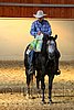 QH062_2629n.jpg