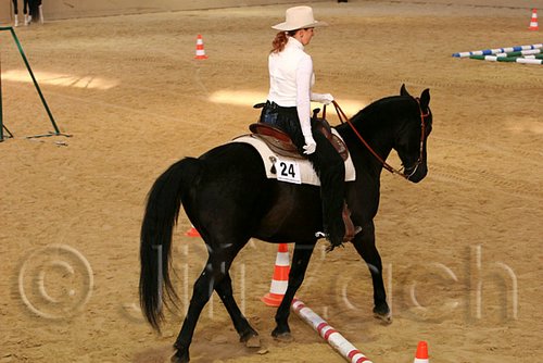 QH062_1637n.jpg