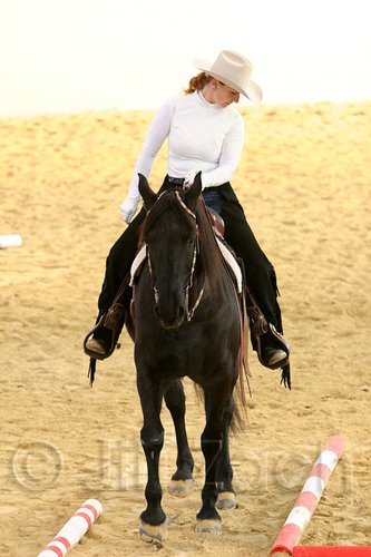 QH062_1640n.jpg