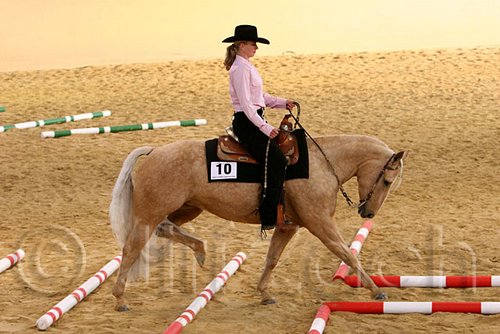 QH062_1651n.jpg