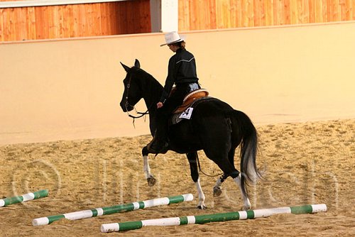 QH062_1675n.jpg