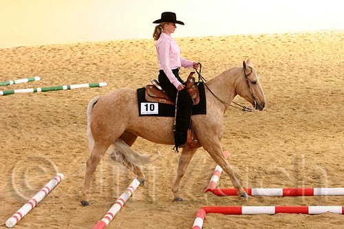 QH062_1694n.jpg