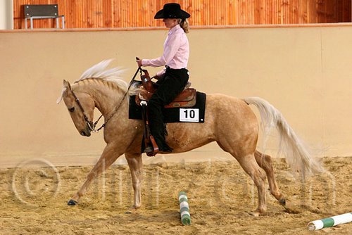 QH062_1699n.jpg