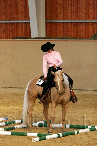 QH062_1702n.jpg