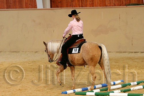 QH062_1704n.jpg
